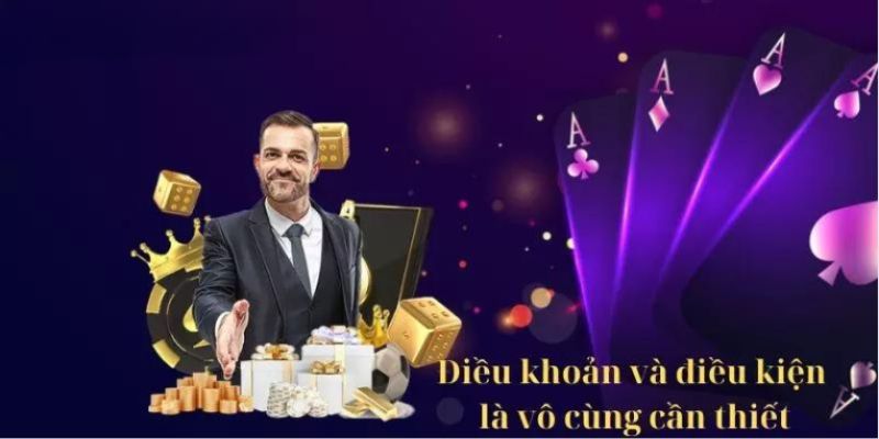 Những điều khoản điều kiện của chương trình khuyến mãi